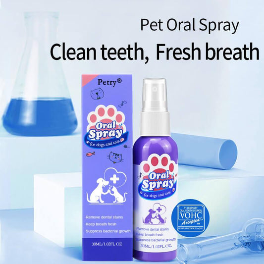 The Importance of Pet Dental Health for Long-Term Wellness