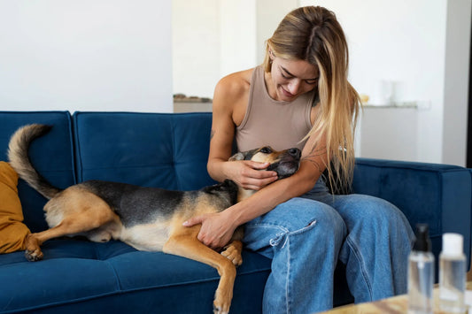 Can Dogs Really Ease Our Pain? Dog Doctor, Always on Call!