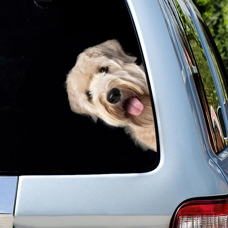 Soft-coated Wheaten Terrier Dog - Peekaboo Dog Head Car Sticker - DS007
