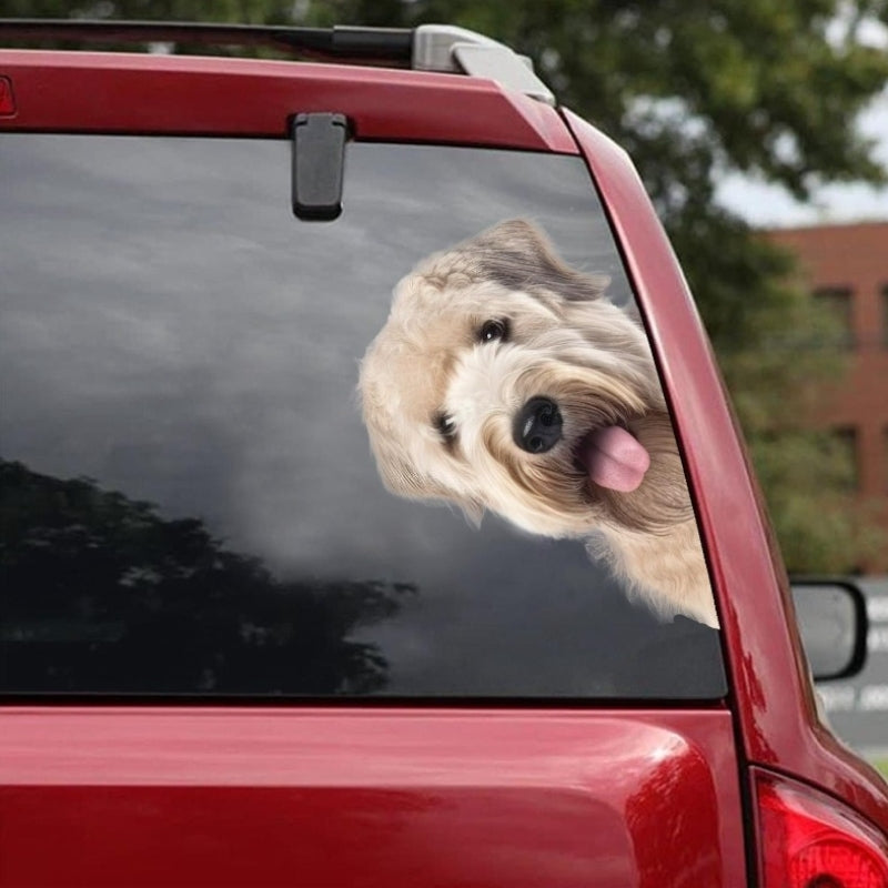 Soft-coated Wheaten Terrier Dog - Peekaboo Dog Head Car Sticker - DS007