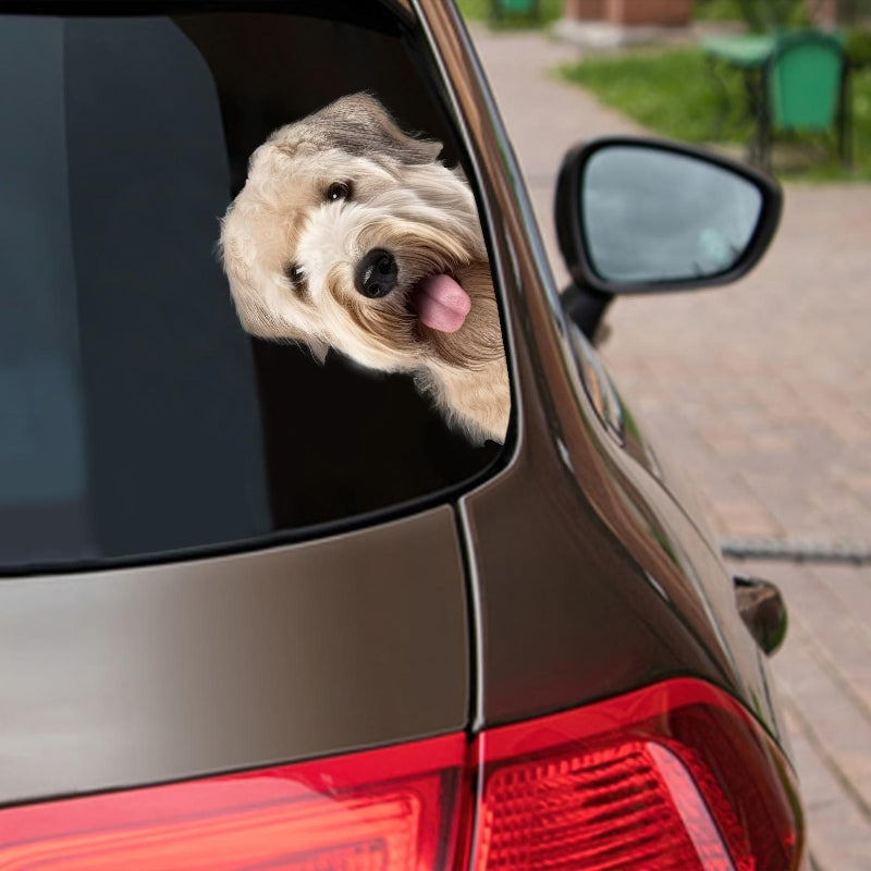 Soft-coated Wheaten Terrier Dog - Peekaboo Dog Head Car Sticker - DS007