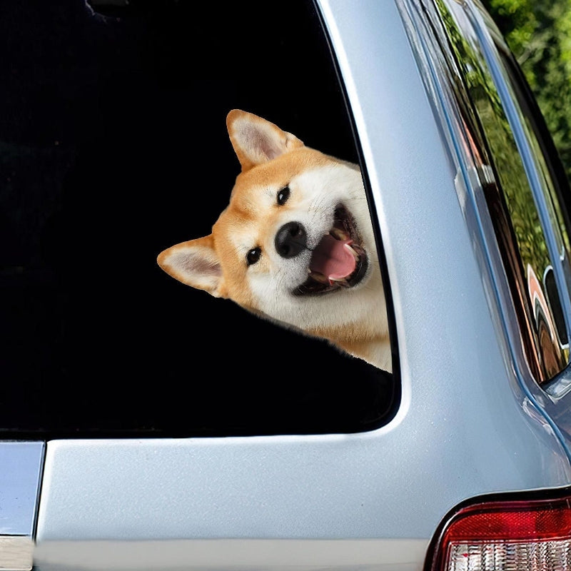 Shiba Inu Dog - Peekaboo Dog Head Car Sticker - DS008