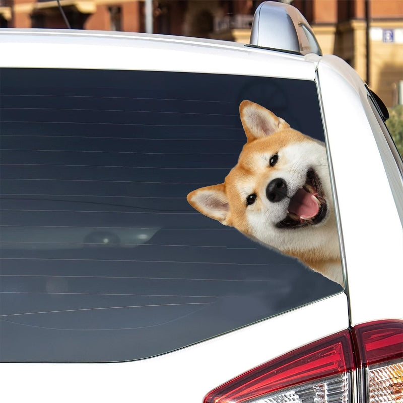 Shiba Inu Dog - Peekaboo Dog Head Car Sticker - DS008
