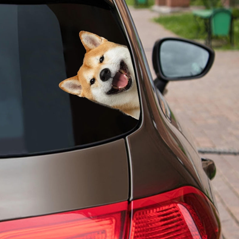 Shiba Inu Dog - Peekaboo Dog Head Car Sticker - DS008