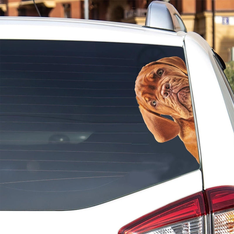 Dogue De Bordeaux Dog - Peekaboo Dog Head Car Sticker - DS016