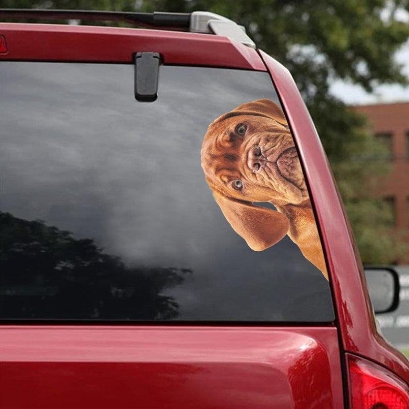 Dogue De Bordeaux Dog - Peekaboo Dog Head Car Sticker - DS016