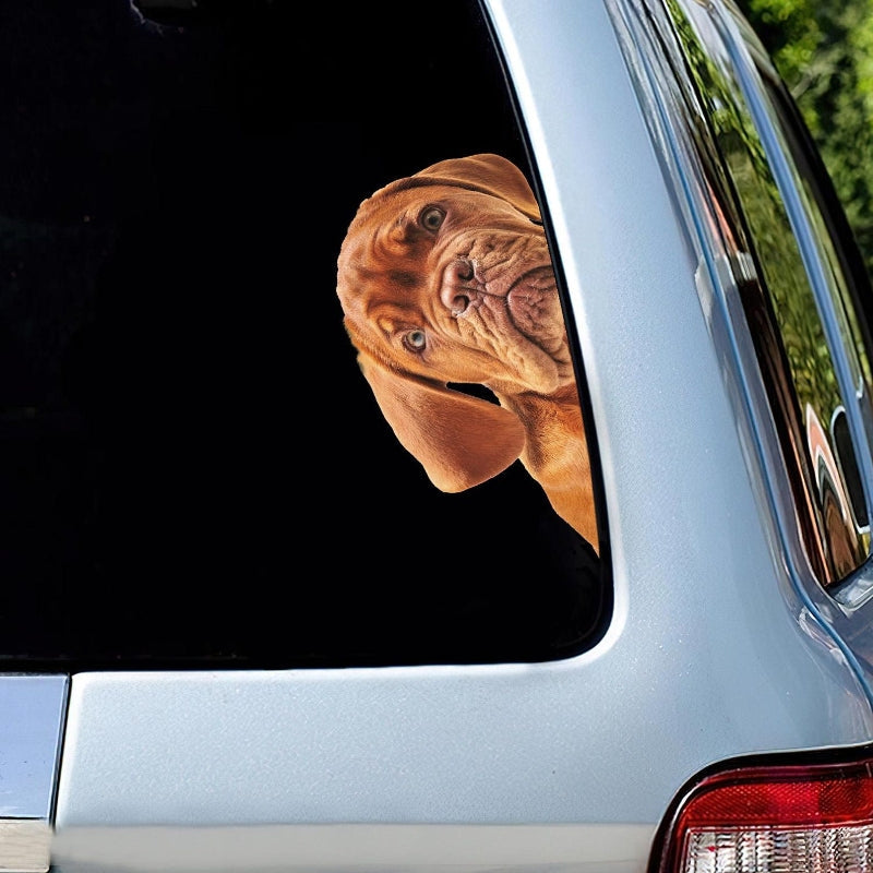 Dogue De Bordeaux Dog - Peekaboo Dog Head Car Sticker - DS016