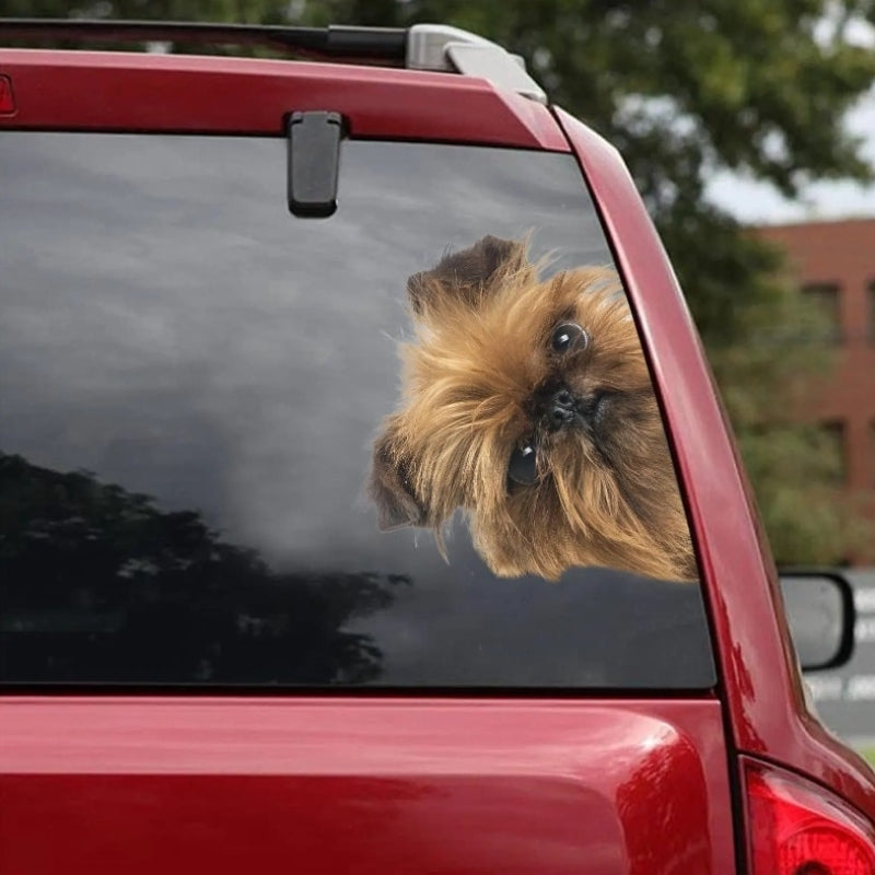 Brussels Griffon Dog - Peekaboo Dog Head Car Sticker - DS018