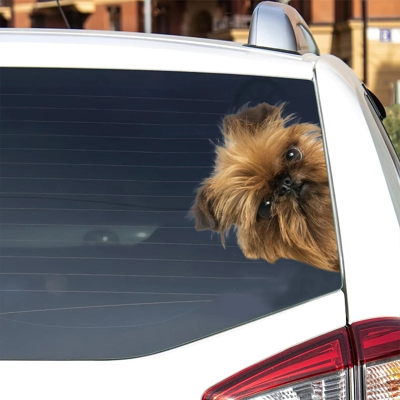 Brussels Griffon Dog - Peekaboo Dog Head Car Sticker - DS018