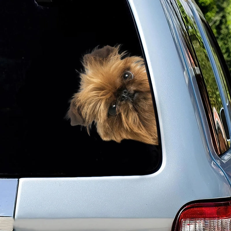 Brussels Griffon Dog - Peekaboo Dog Head Car Sticker - DS018