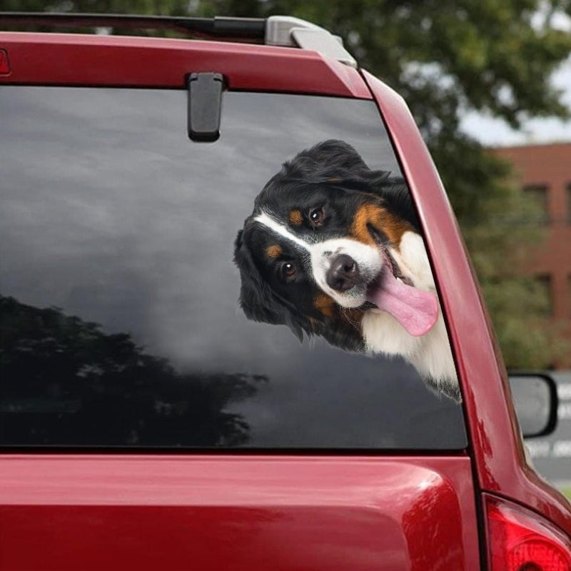Bernese Mountain Dog - Peekaboo Dog Head Car Sticker - DS021