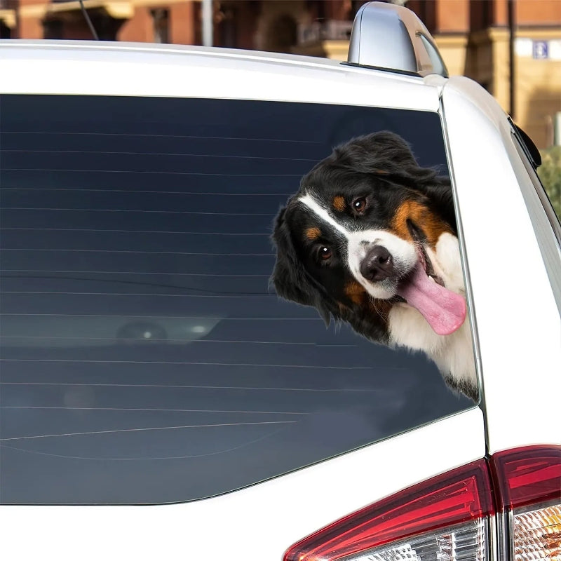 Bernese Mountain Dog - Peekaboo Dog Head Car Sticker - DS021
