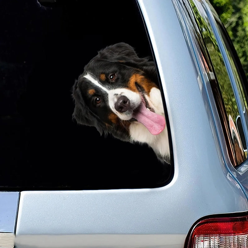 Bernese Mountain Dog - Peekaboo Dog Head Car Sticker - DS021