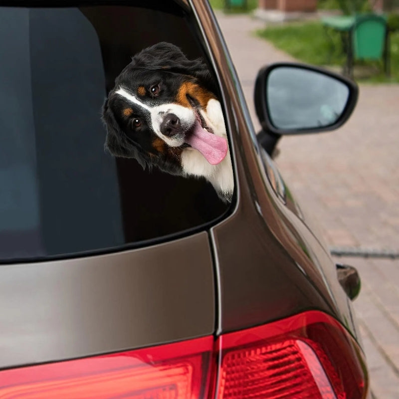 Bernese Mountain Dog - Peekaboo Dog Head Car Sticker - DS021