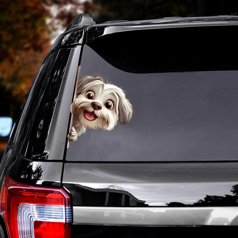 Havanese Dog - Peekaboo Dog Head Car Sticker - DS037