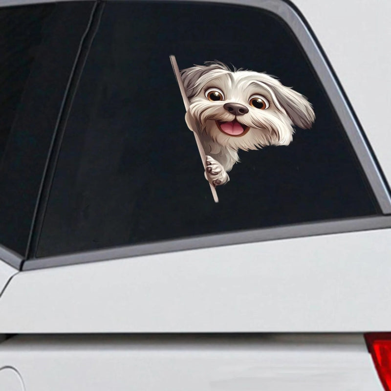 Havanese Dog - Peekaboo Dog Head Car Sticker - DS037