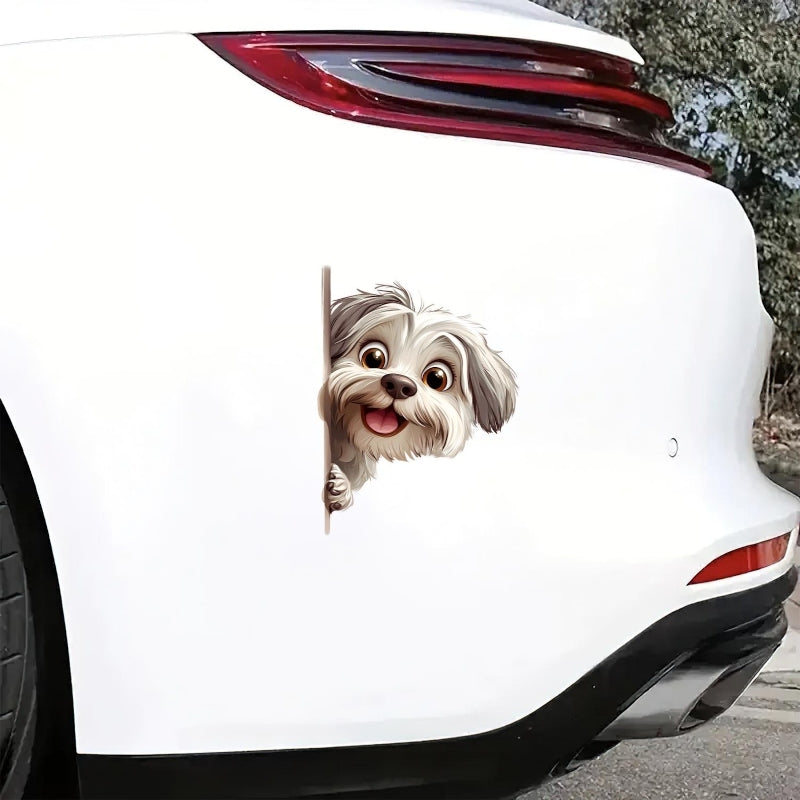 Havanese Dog - Peekaboo Dog Head Car Sticker - DS037
