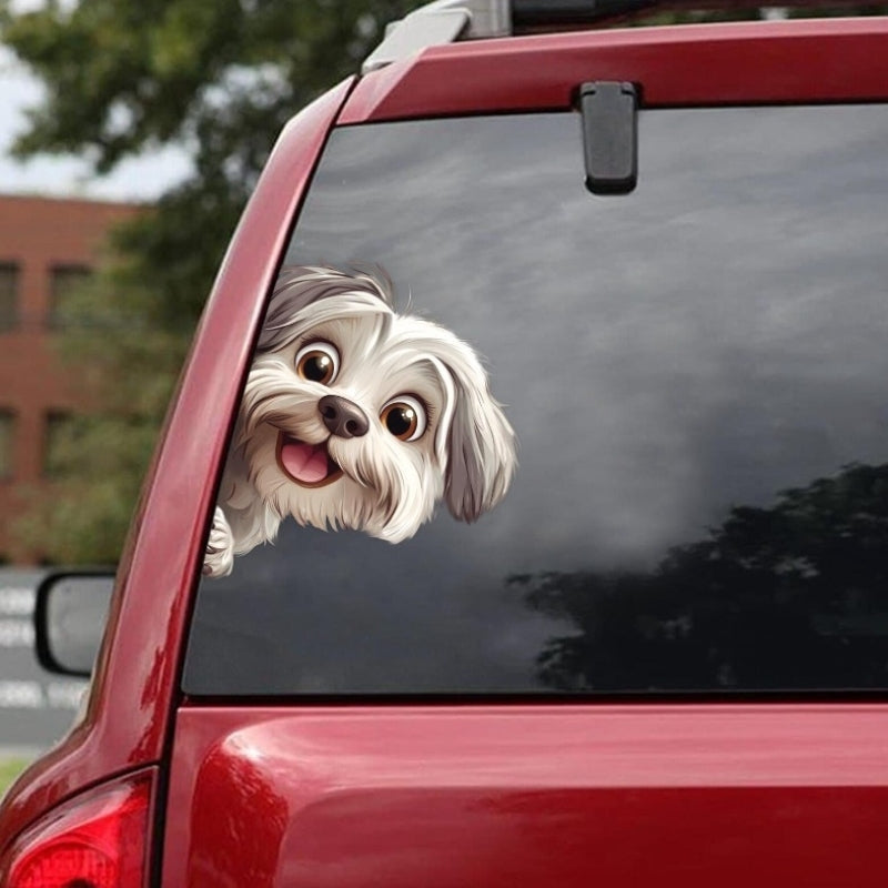 Havanese Dog - Peekaboo Dog Head Car Sticker - DS037