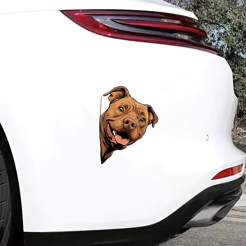 Pitbull Dog - Peekaboo Dog Head Car Sticker - DS056