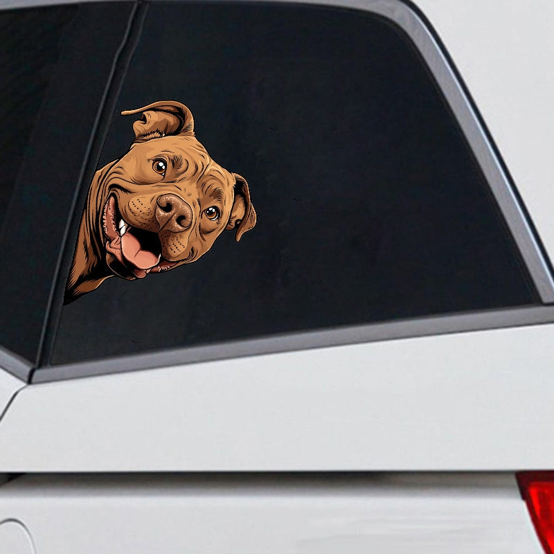 Pitbull Dog - Peekaboo Dog Head Car Sticker - DS056