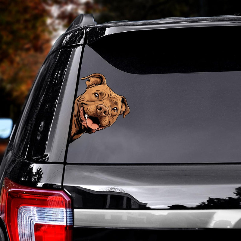 Pitbull Dog - Peekaboo Dog Head Car Sticker - DS056