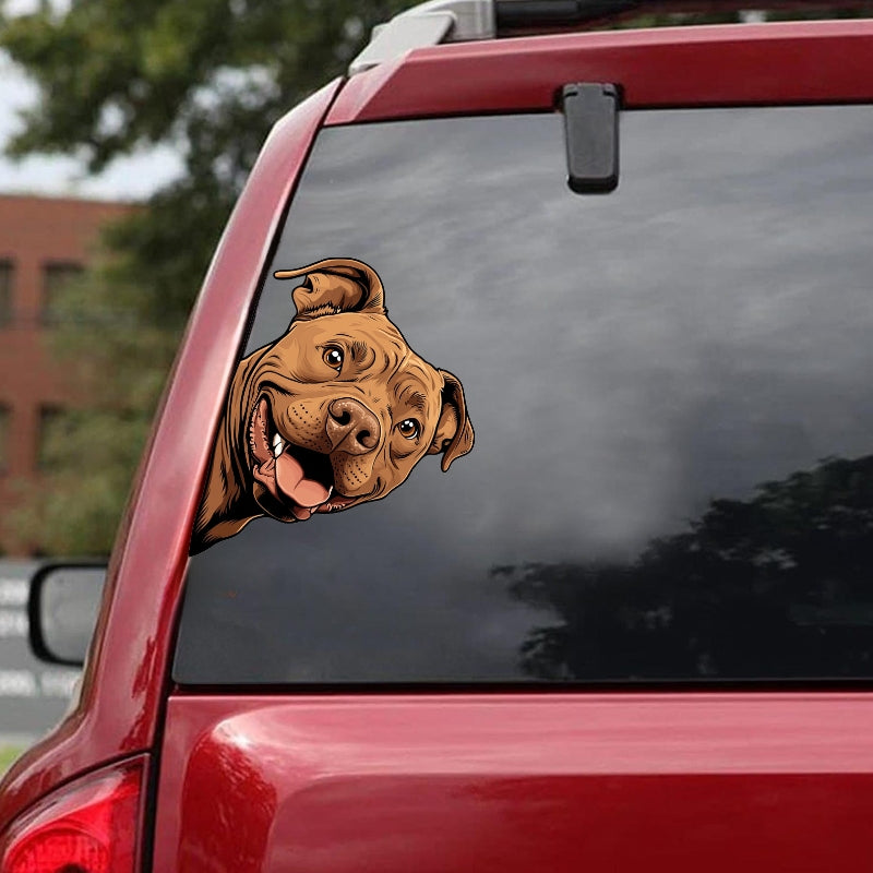 Pitbull Dog - Peekaboo Dog Head Car Sticker - DS056