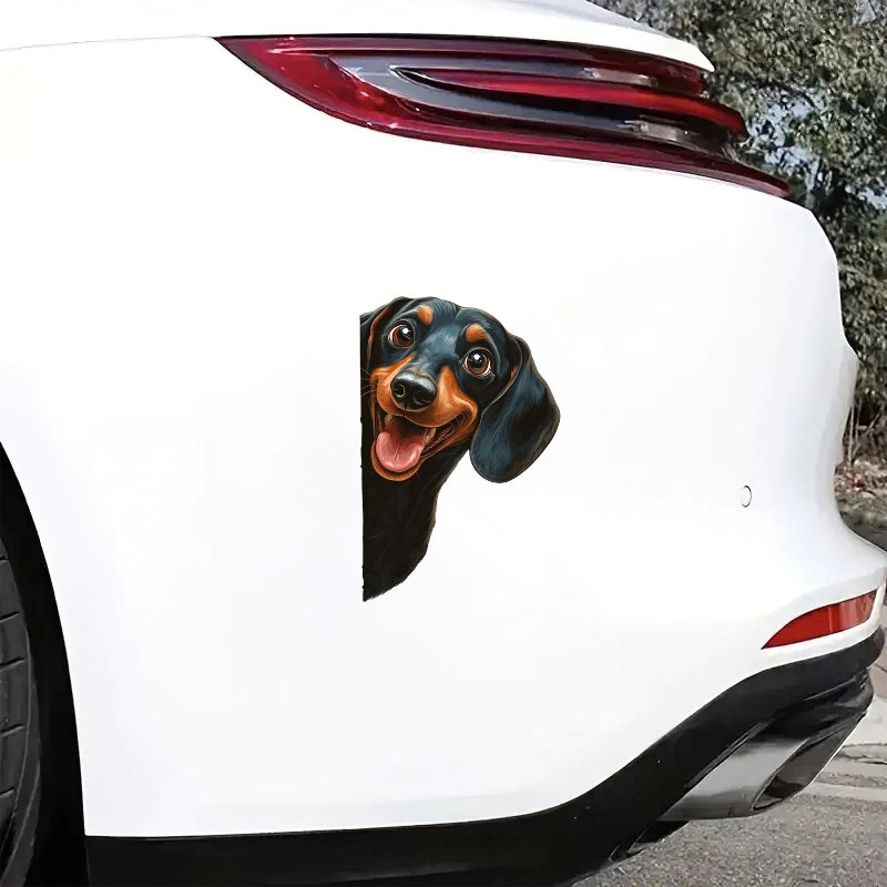 Dachshund Dog - Peekaboo Dog Head Car Sticker - DS057