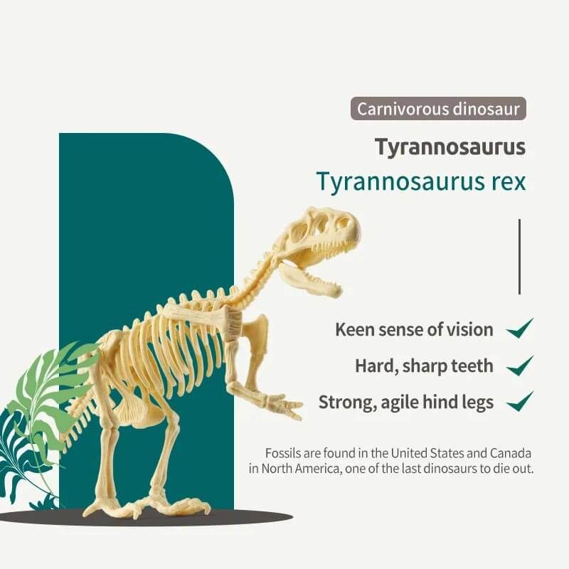 Dinosaur Fossil Digging Kit