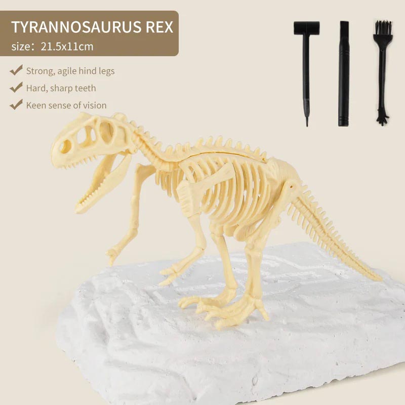 Dinosaur Fossil Digging Kit