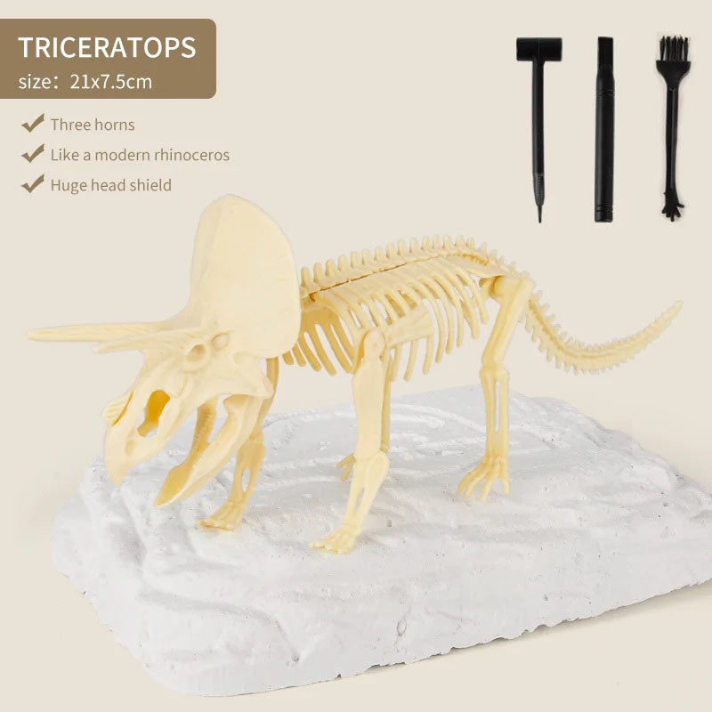 Dinosaur Fossil Digging Kit