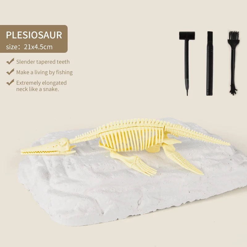 Dinosaur Fossil Digging Kit
