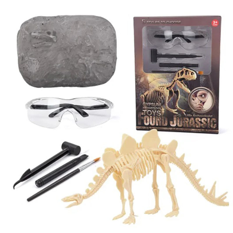 Dinosaur Fossil Digging Kit