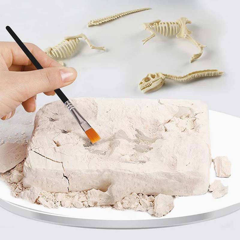 Dinosaur Fossil Digging Kit