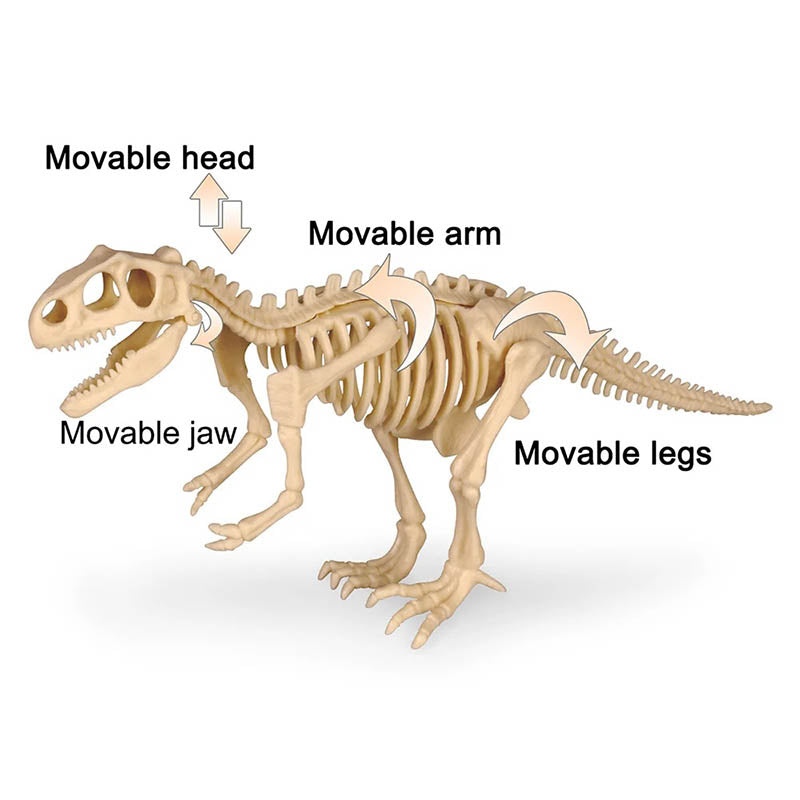 Dinosaur Fossil Digging Kit