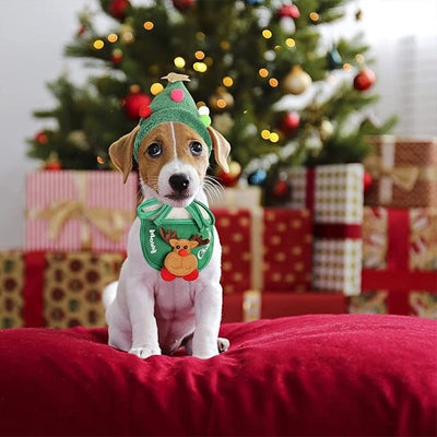 Adorable Christmas Tree Pom-Pom Hat