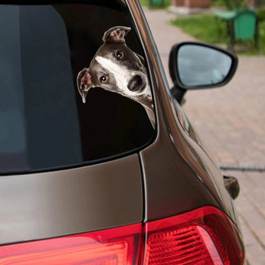 Italian Greyhound Dog - Peekaboo Dog Head Car Sticker - DS005