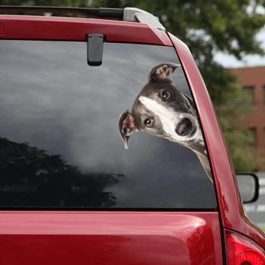 Italian Greyhound Dog - Peekaboo Dog Head Car Sticker - DS005