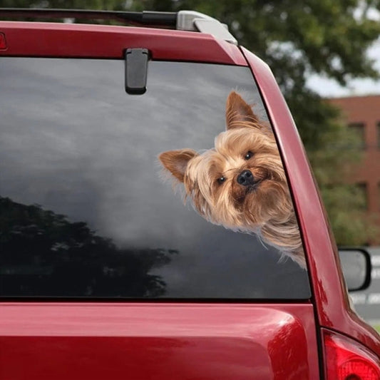 Yorkshire Terrier Dog - Peekaboo Dog Head Car Sticker - DS006