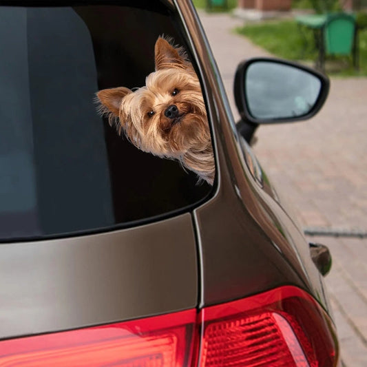 Yorkshire Terrier Dog - Peekaboo Dog Head Car Sticker - DS006