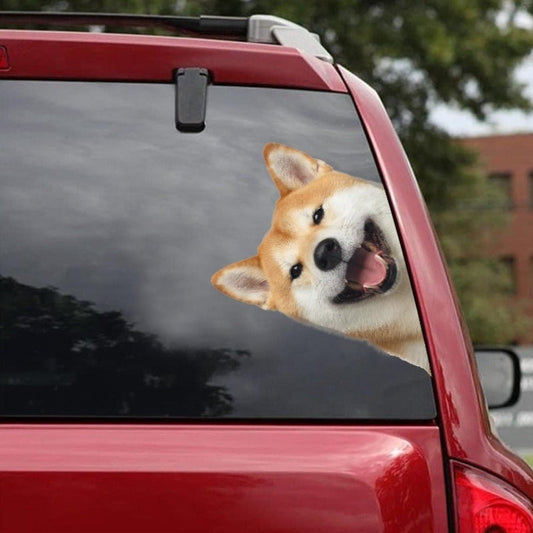 Shiba Inu Dog - Peekaboo Dog Head Car Sticker - DS008