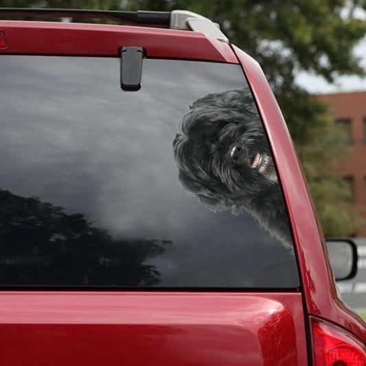 Portuguese Water Dog - Peekaboo Dog Head Car Sticker - DS010