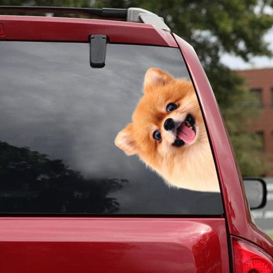 Pomeranian Dog - Peekaboo Dog Head Car Sticker - DS011