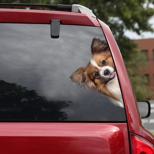 Papillon Dog - Peekaboo Dog Head Car Sticker - DS012