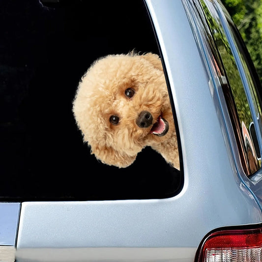 Maltipoo Dog - Peekaboo Dog Head Car Sticker - DS013