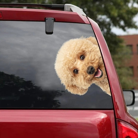 Maltipoo Dog - Peekaboo Dog Head Car Sticker - DS013
