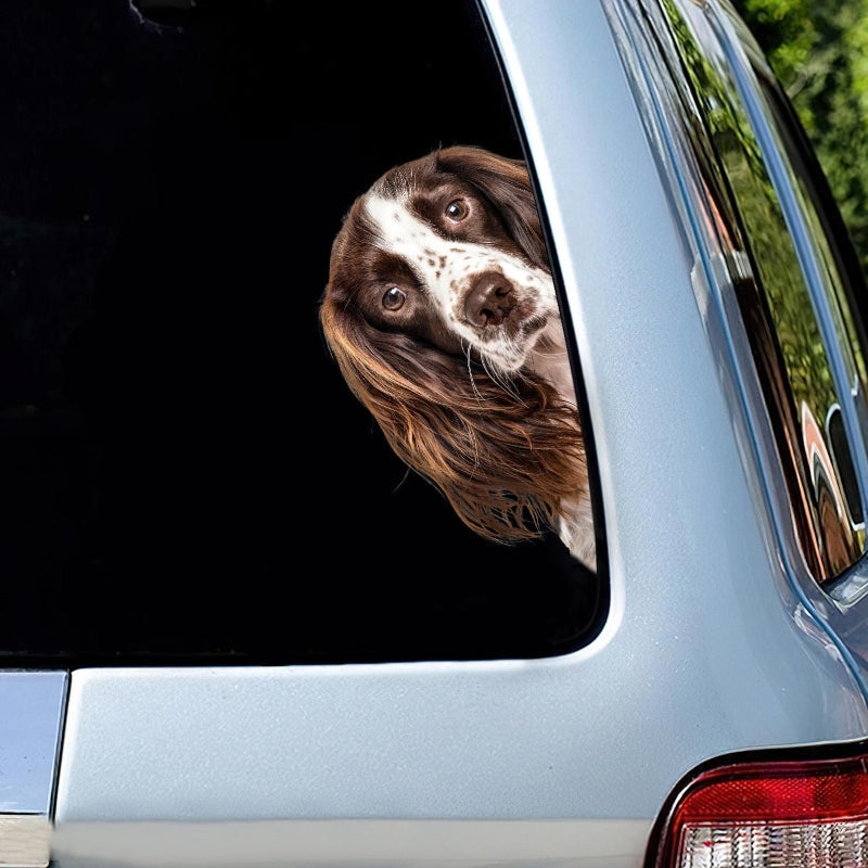 English Springer Spaniel Dog - Peekaboo Dog Head Car Sticker - DS015