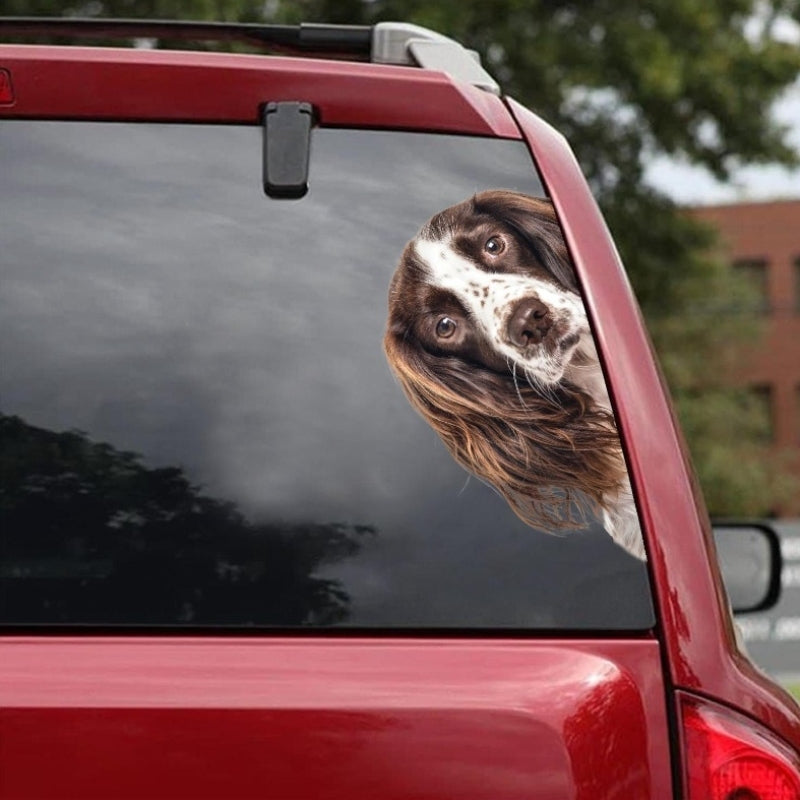 English Springer Spaniel Dog - Peekaboo Dog Head Car Sticker - DS015