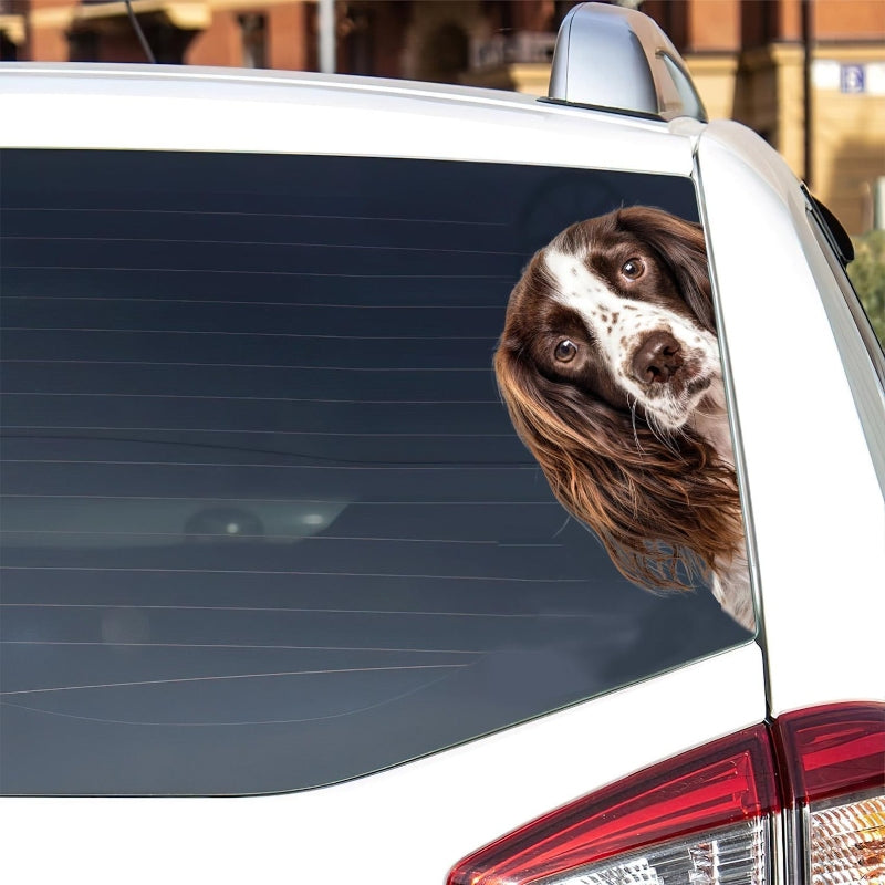 English Springer Spaniel Dog - Peekaboo Dog Head Car Sticker - DS015