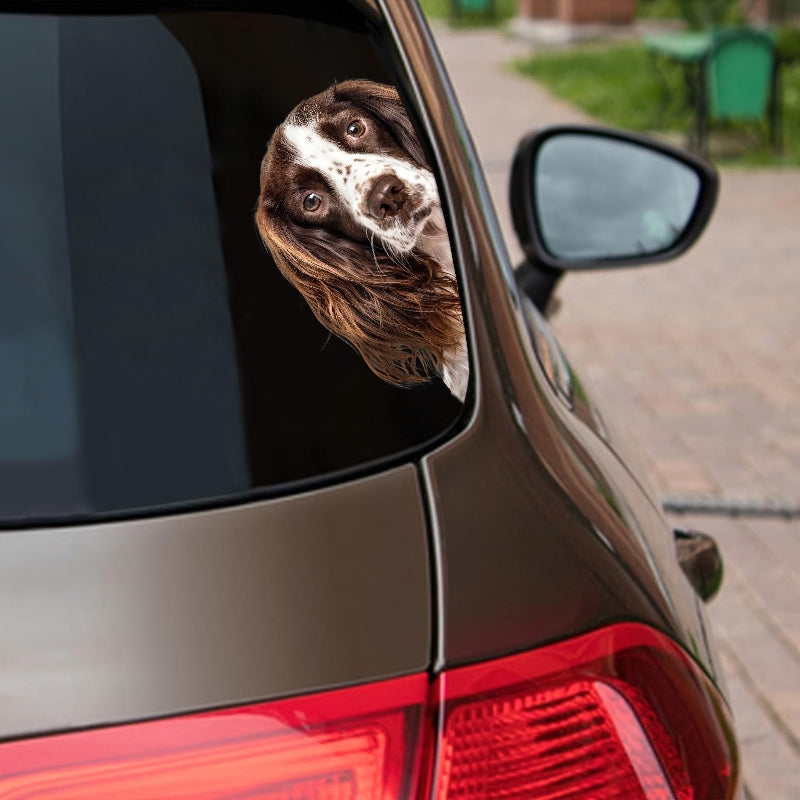English Springer Spaniel Dog - Peekaboo Dog Head Car Sticker - DS015