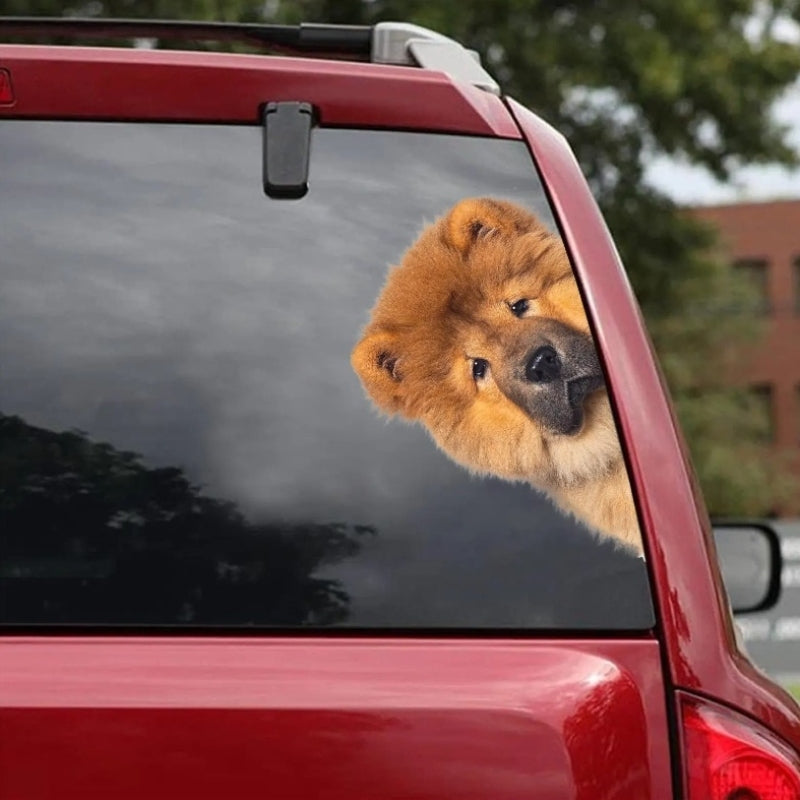 Chow Chow Dog - Peekaboo Dog Head Car Sticker - DS017